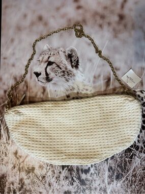 American Eagle Outfitters Cream Woven Shoulder Bag with Gold Chain